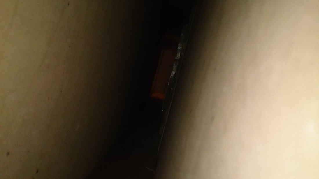 Return trunk after cleaning