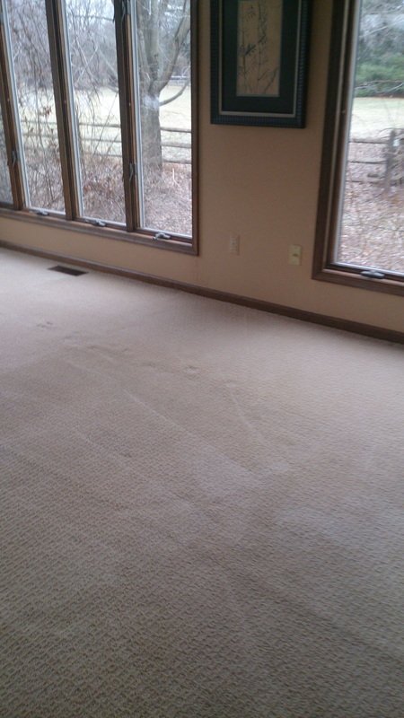 Clean bright carpet after professional hot water extraction by Carpet Restoration Plus