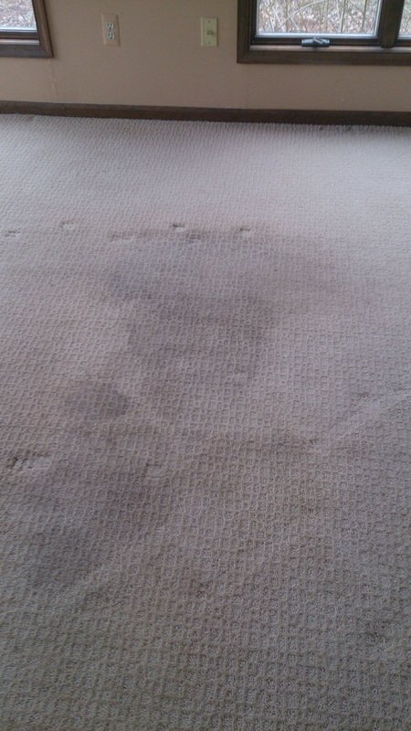 Carpet before cleaning